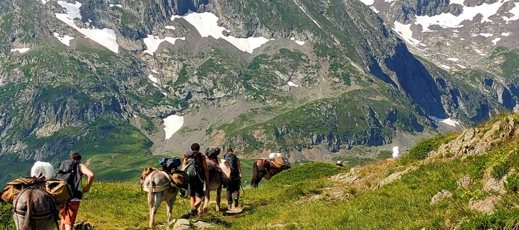 Portage equin