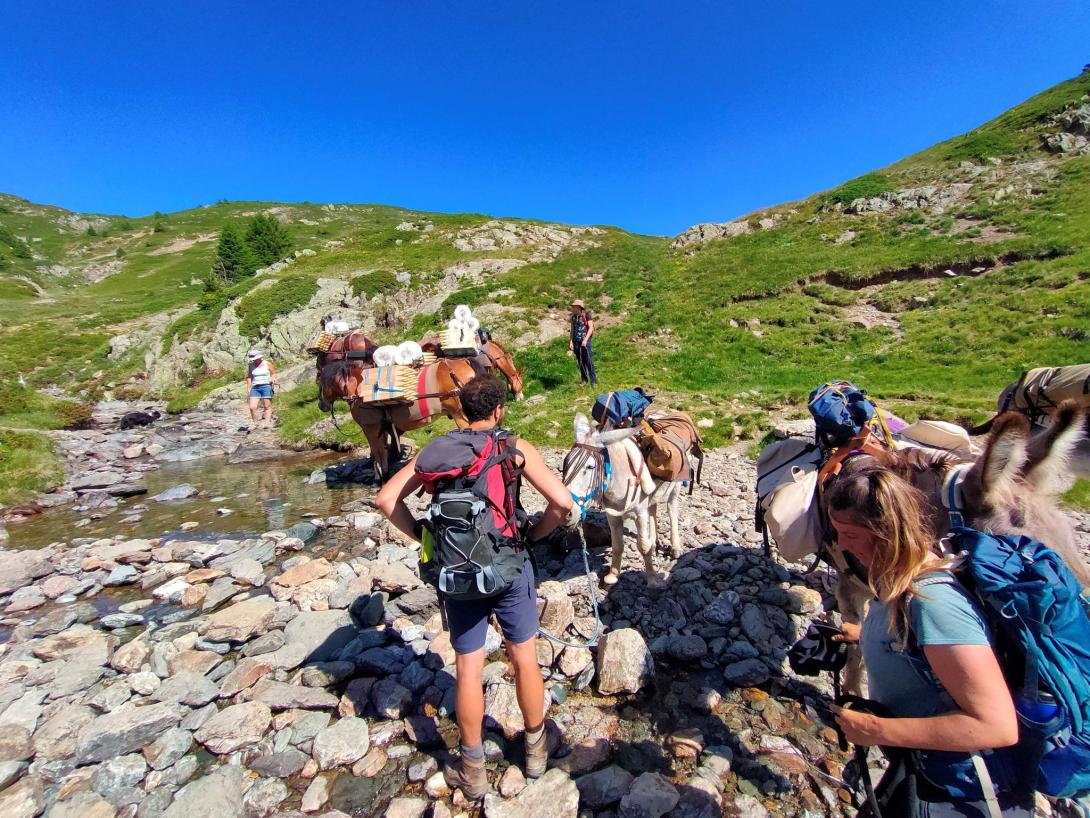 Portage equin